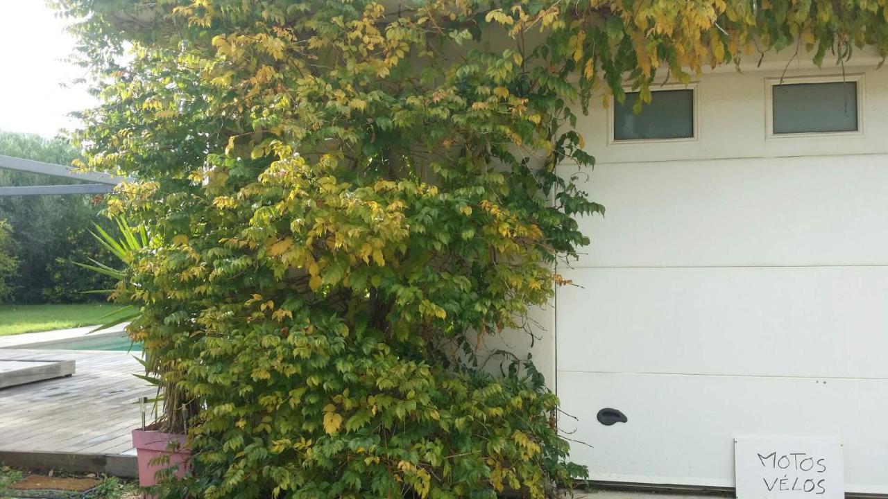 Le Carre Des Vignes Hotel Six-Fours-les-Plages Zewnętrze zdjęcie